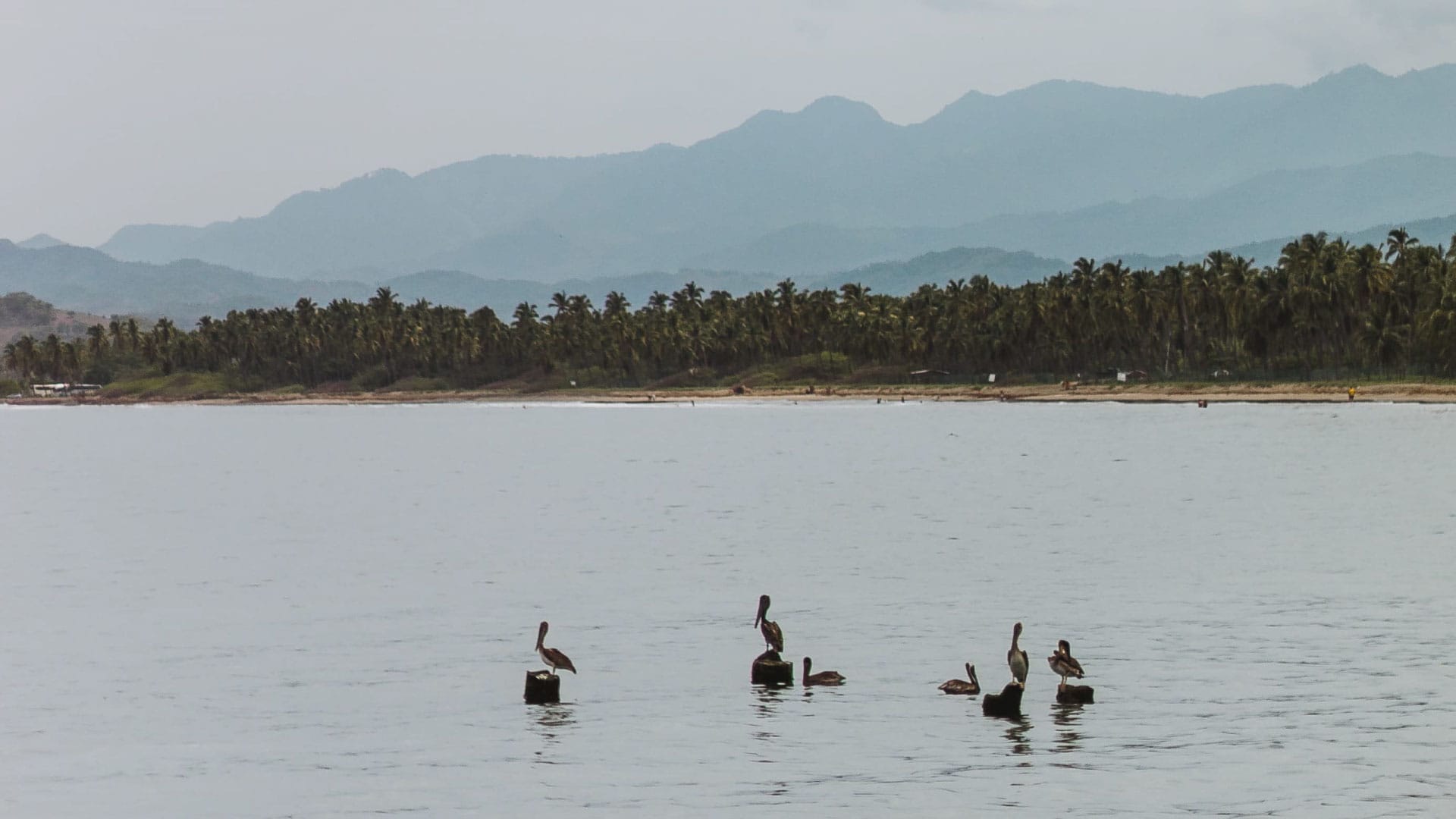Playa | Los mejores dulces mexicanos para vacacionar Foto tomada por Luis Robles